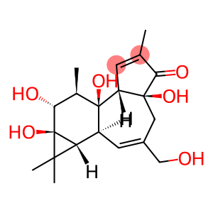 4α-佛波醇