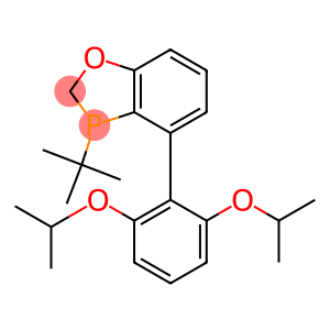 3-(叔丁基)-4-(2,6-二异丙氧基苯基)-2,3-二氢苯并[d][1,3]氧杂磷杂环戊烯