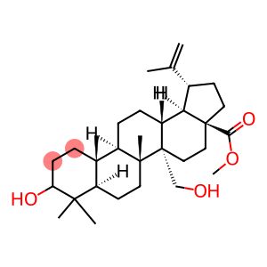 3,27-二羟基-20(29)-流明-28-酸甲酯