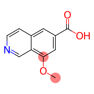 8-甲氧基异喹啉-6-羧酸