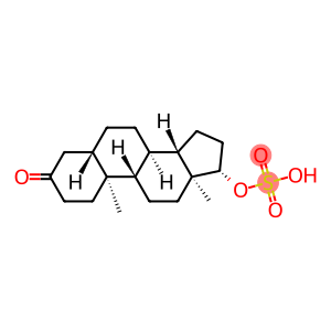 17-O-Sulfodihydrotestosterone