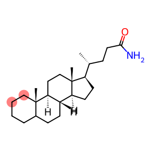 Cholan-24-amide