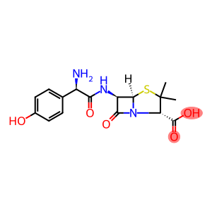 Amoxycillin-d4