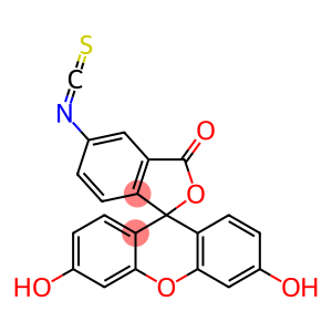 Spiroisobenzofuran-1(3H),9-9Hxanthen-3-one, 3,6-dihydroxy-5(or 6)-isothiocyanato-