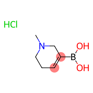 1-Methyl-1,2,5,6-tetrahydropyridine-3-yl]boronic acid hydrochloride