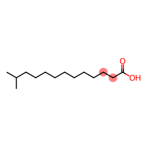 12-methyltridecanoic acid