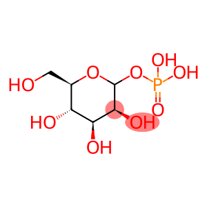 MANNOSE PHOSPHATE