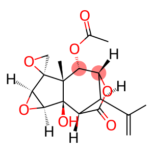 2-O-乙酰基羟基马桑毒素