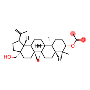 3-O-乙酰基白桦酯醇, 半合成