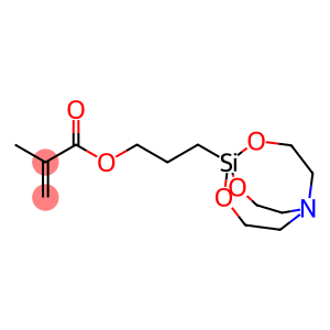 Methacryloxypropylsilatrane