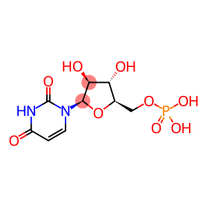 2,4(1H,3H)-Pyrimidinedione, 1-(5-phosphono-β-D-arabinofuranosyl)-, homopolymer (9CI)