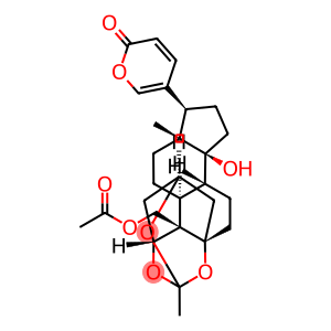 Bufa-20,22-dienolide, 19-(acetyloxy)-1,3,5-[ethylidynetris(oxy)]-14-hydroxy-, (1β,3β,5β)- (9CI)