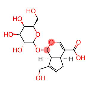 (1S,2S,6S)-9-(hydroxymethyl)-2-[(2S,3R,4S,5R,6R)-3,4,5-trihydroxy-6-(hydroxymethyl)oxan-2-yl]oxy-3-oxabicyclo[4.3.0]nona-4,8-diene-5-carboxylic acid