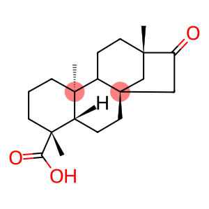 (4α,8β,13β)-13--Methyl-16-oxo-17-norkauran-18-oic acid