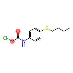 N-(4-丁基硫基苯基)-2-氯-乙酰胺