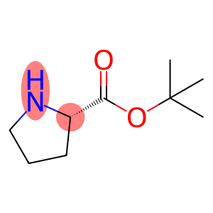 tert-butyl L-prolinate