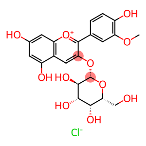 3-(beta-D-Galactopyranosyloxy)-5,7-dihydroxy-2-(4-hydroxy-3-methoxyphenyl)-1-benzopyrylium chloride