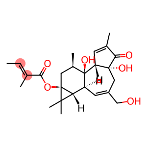 12-DEOXYPHORBOL 13-ANGELATE