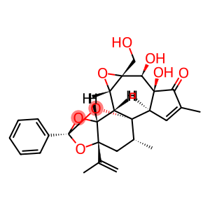 瑞香毒素