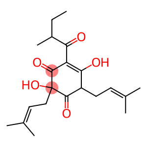 2,5-Dihydroxy-2,6-bis(3-methyl-2-butenyl)-4-(2-methyl-1-oxobutyl)-4-cyclohexene-1,3-dione