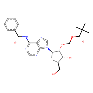 (((2R,3R,4R,5R)-2-(6-benzamido-9H-purin-9-yl)-4-hydroxy-5-(hydroxymethyl)tetrahydrofuran-3-yl)oxy)methyl pivalate