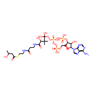 3-hydroxybutyryl-coenzyme A