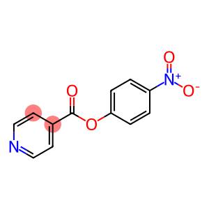 4-Pyridinecarboxylic acid, 4-nitrophenyl ester