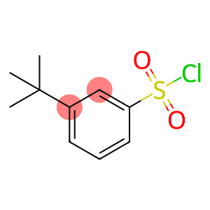 3-(tert-Butyl)benzene-1-sulfonyl chloride