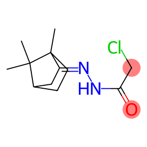 CHLORO-ACETIC ACID (1,7,7-TRIMETHYL-BICYCLO[2.2.1]HEPT-2-YLIDENE)-HYDRAZIDE