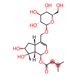 [(1S)-1,4aα,5,6,7,7aα-Hexahydro-6α,7β-dihydroxy-7-methyl-1α-(3-methyl-1-oxobutoxy)cyclopenta[c]pyran-4-yl]methyl β-D-glucopyranoside