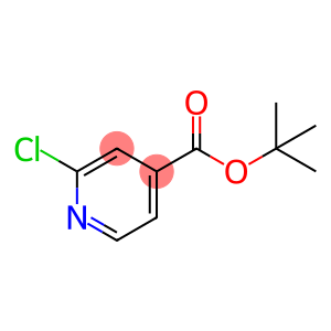 2-氯异烟酸叔丁酯