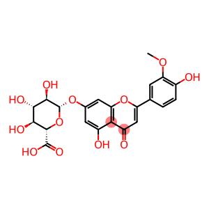 柯伊利素-7-O-Β-D-葡萄糖醛酸苷