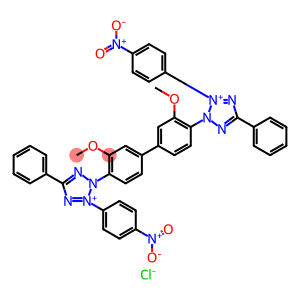 氯化硝基四氮唑蓝