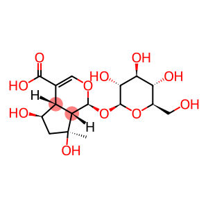 (1S)-1α-(β-D-Glucopyranosyloxy)-1,4aα,5,6,7,7aα-hexahydro-5α,7α-dihydroxy-7-methylcyclopenta[c]pyran-4-carboxylic acid