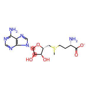 S-(5-Adenosyl)-L-methionine