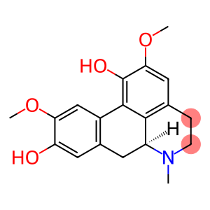 Isoboldine