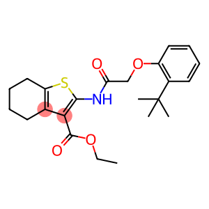 ethyl 2-{[(2-tert-butylphenoxy)acetyl]amino}-4,5,6,7-tetrahydro-1-benzothiophene-3-carboxylate