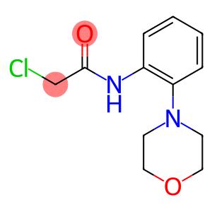 2-CHLORO-N-(2-MORPHOLIN-4-YL-PHENYL)-ACETAMIDE