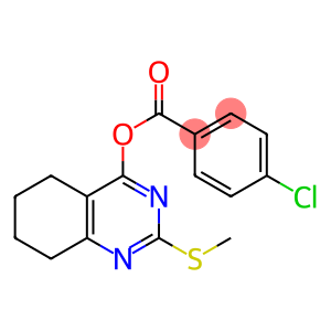 2-(METHYLSULFANYL)-5,6,7,8-TETRAHYDRO-4-QUINAZOLINYL 4-CHLOROBENZENECARBOXYLATE