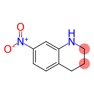 7-硝基四氢喹啉