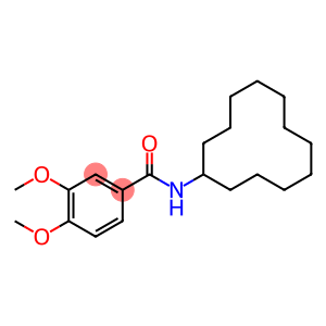 N-cyclododecyl-3,4-dimethoxybenzamide