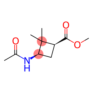 (1S,3R)-3-acetamido-2,2-dimethylcyclobutane-1-carboxylic acid methyl ester