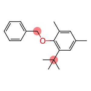 1-(1,1-Dimethylethyl)-3,5-dimethyl-2-(phenylmethoxy)benzene