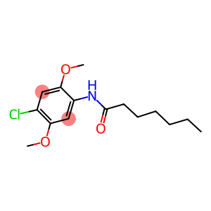 N-(4-chloro-2,5-dimethoxyphenyl)heptanamide