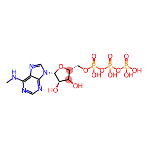 N6-单甲基腺苷 5'-三磷酸酯
