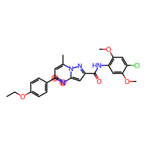 N-(4-chloro-2,5-dimethoxyphenyl)-5-(4-ethoxyphenyl)-7-methylpyrazolo[1,5-a]pyrimidine-2-carboxamide