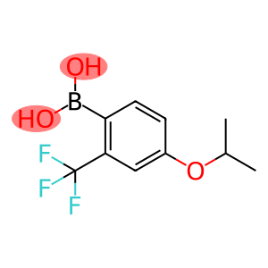 2-三氟甲基-4-异丙氧基苯硼酸