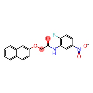 N-(2-fluoro-5-nitrophenyl)-2-(naphthalen-2-yloxy)acetamide