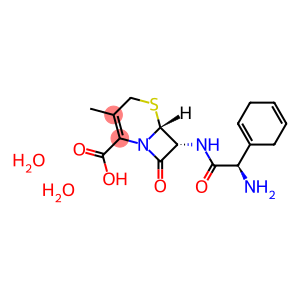 CEPHRADINE HYDRATE