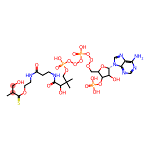 S-[2-[3-[[4-[[[5-(6-aminopurin-9-yl)-4-hydroxy-3-phosphonooxyoxolan-2-yl]methoxy-hydroxyphosphoryl]oxy-hydroxyphosphoryl]oxy-2-hydroxy-3,3-dimethylbutanoyl]amino]propanoylamino]ethyl] 3-hydroxy-2-methylpropanethioate